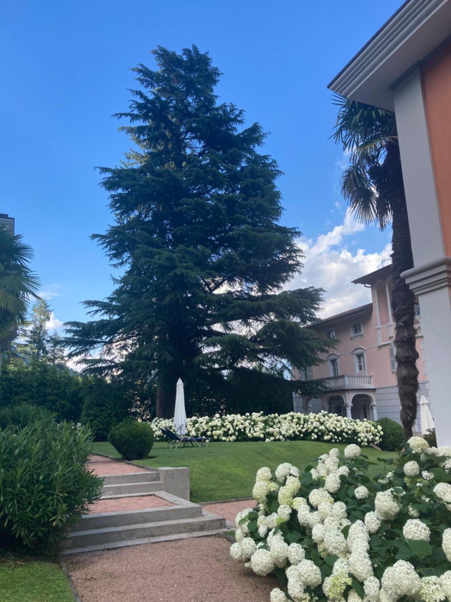 Ville Lago Lugano Porto Ceresio Exterior foto